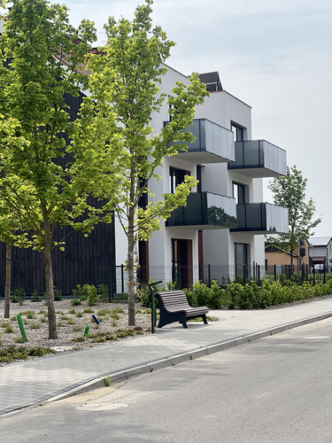 Balkon czy ogród – jak wybrać idealne mieszkanie?
